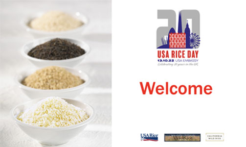 Cover image of the USA Rice Federation Presentation